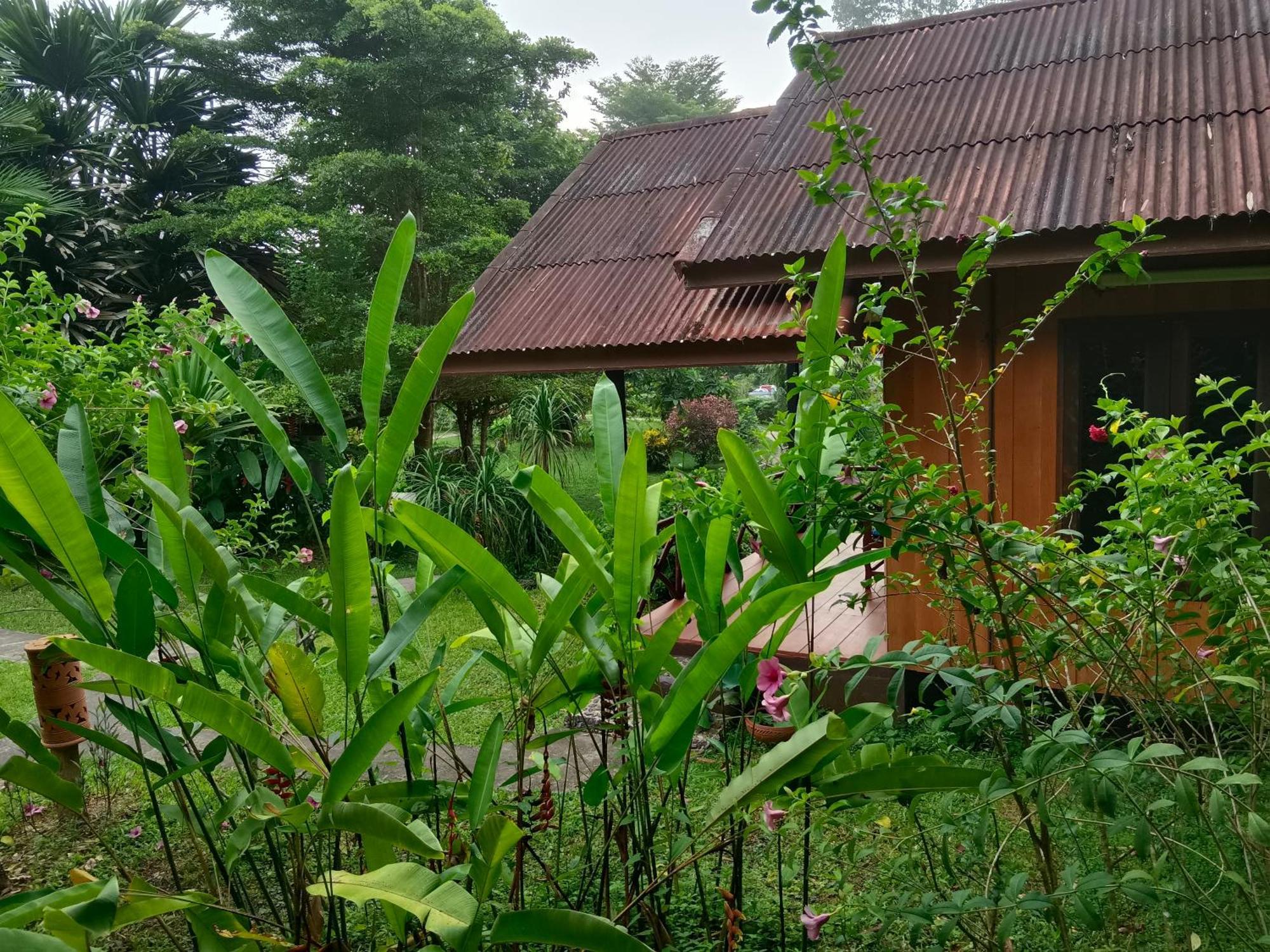 Khao Sok River & Jungle Resort Khao Sok National Park Cameră foto